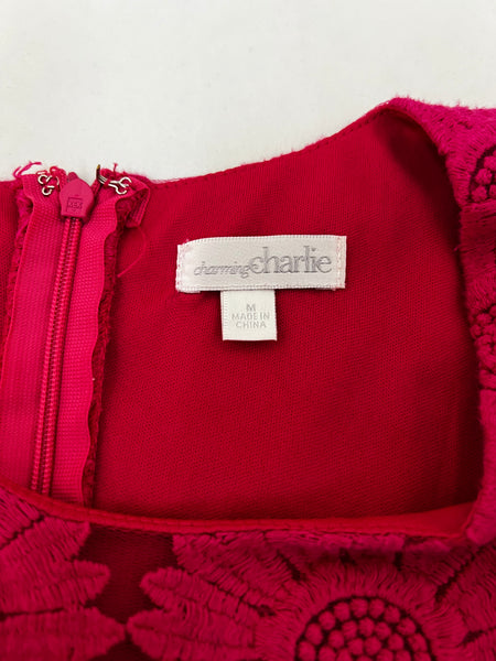 Charming Charlie Dress