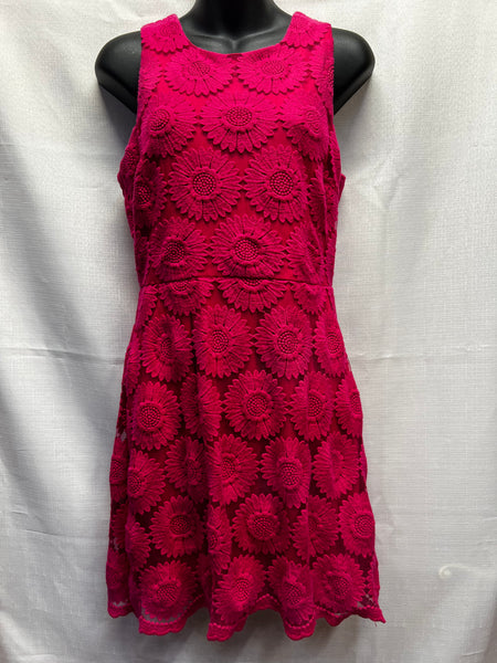 Charming Charlie Dress